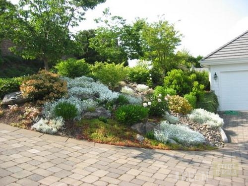 alpine_garden_19.