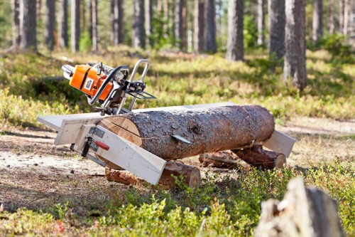 zdjęcie Timbergig.