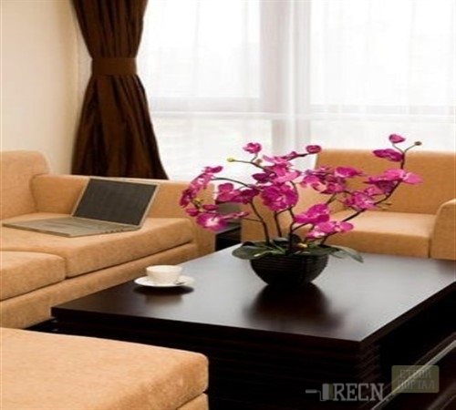 Dnevni boravak Lounge Lonely Plant_500x450