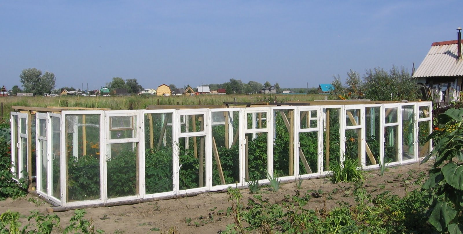 Теплица из оконных рам своими руками. Теплица из рам. Парник из окон. Парник из оконных рам. Теплица из старых окон.