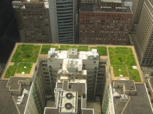 20080708_Chicago_city_Hall_Green_roof-700x524