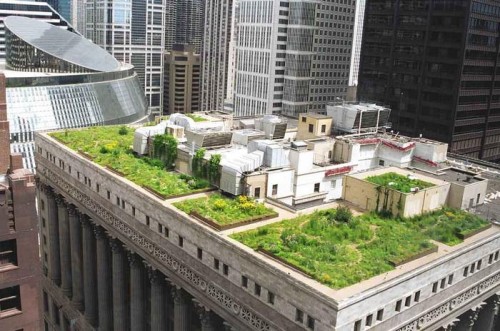 Urban Roof Gardens Design Wallpapers 4