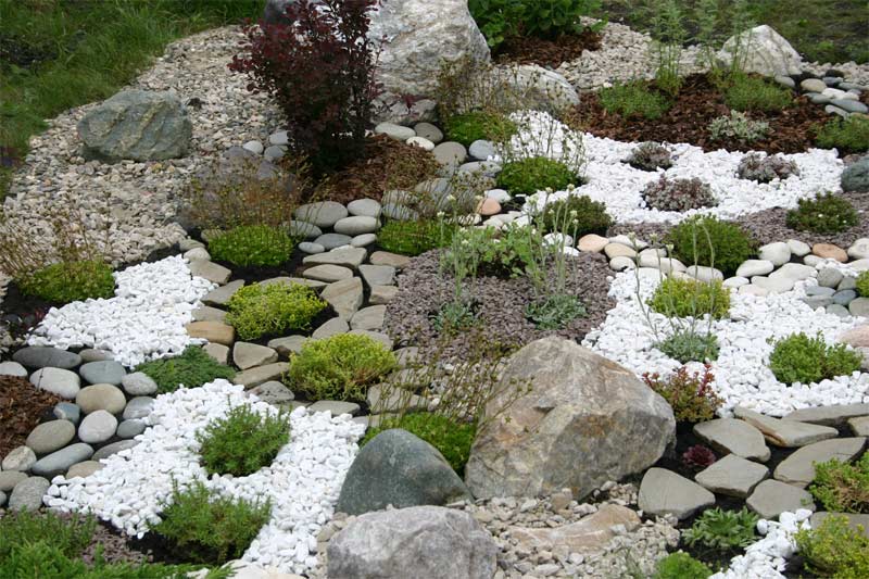Сад камней своими руками на даче фото принципы составления композиций